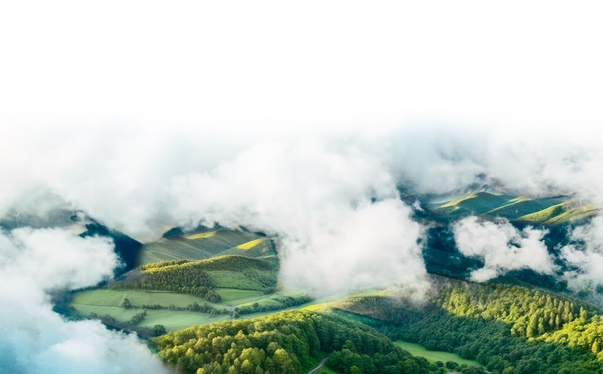 果下科技官方网站建设