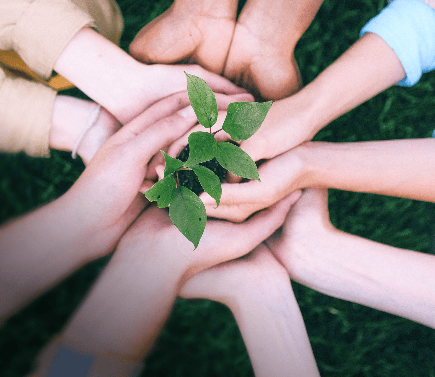 果下科技官方网站建设