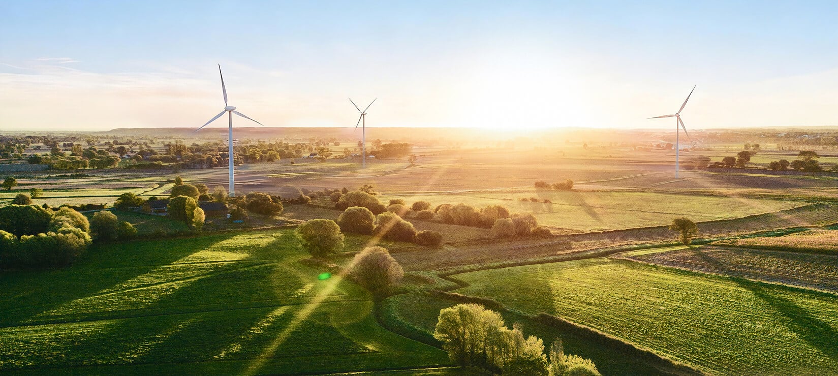 果下科技官方网站建设