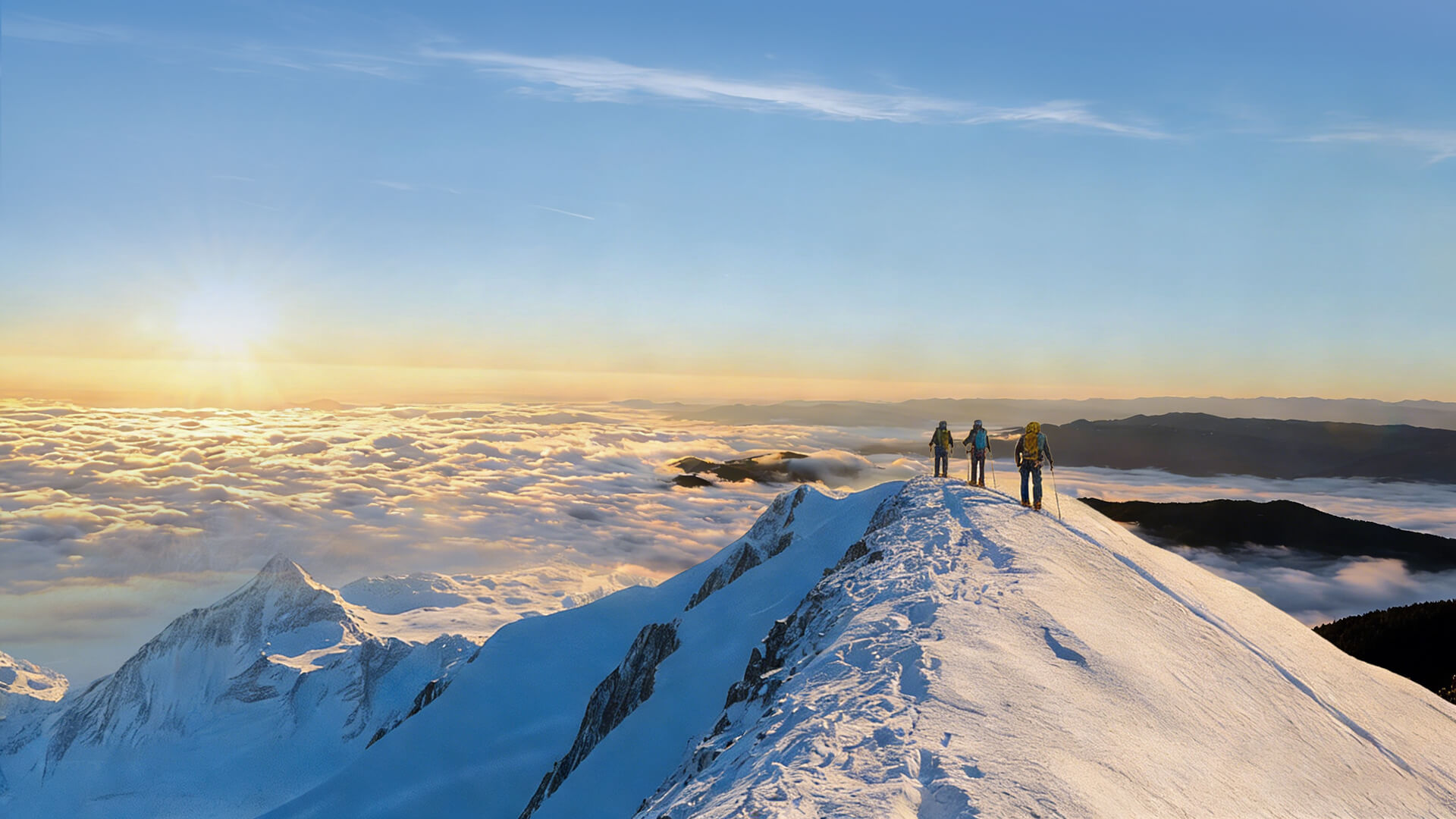 果下科技官方网站建设